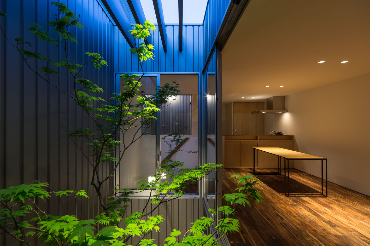 鳳の家 House in Otori, arbol arbol Jardins modernos