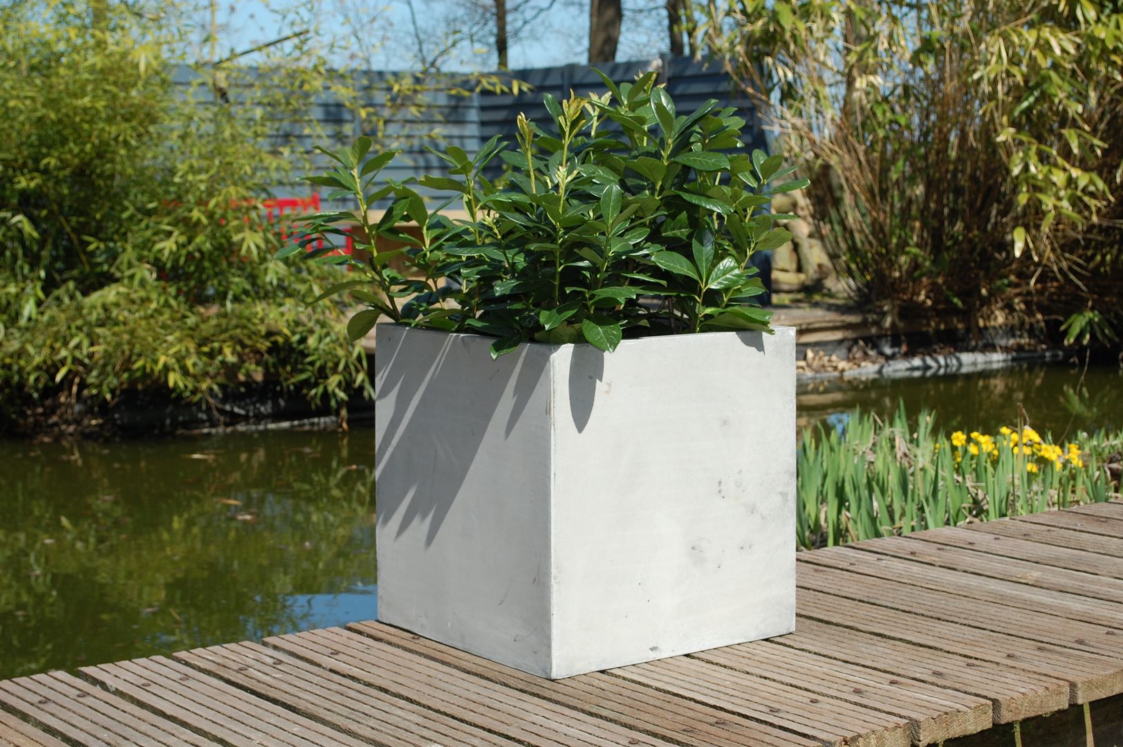 Pflanzkübel Fiberglas im Beton-Design, AE Trade Online AE Trade Online حديقة Plant pots & vases