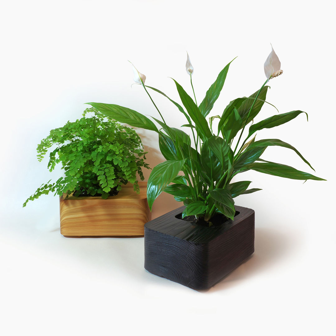 Illustration of Indoor Herb Planters For Mental Health