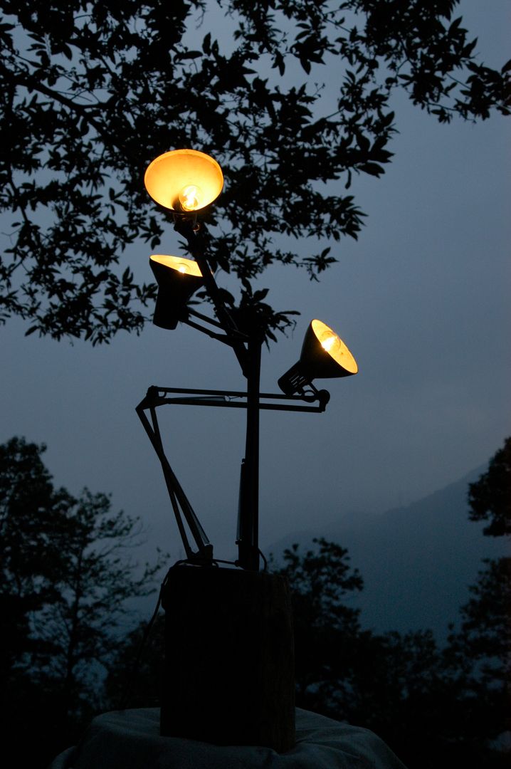 Piantana - Albero della luce - Lampada scultura - Lampadani