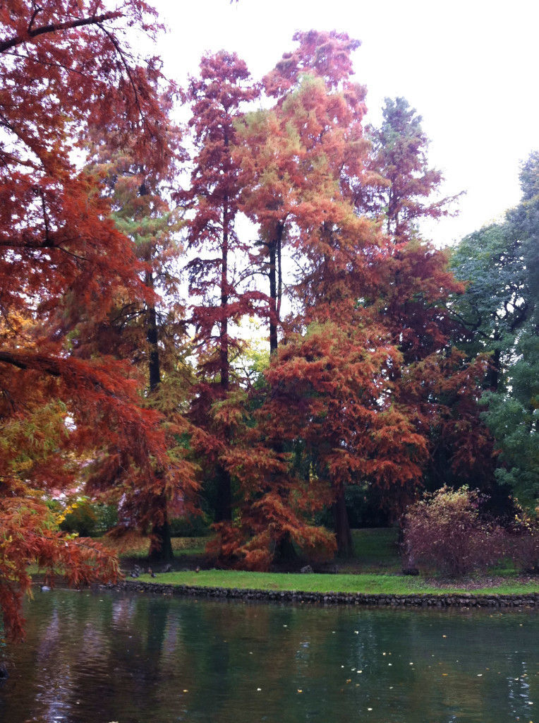 Abitazione privata, Dal Ben Giardini Dal Ben Giardini Jardins clássicos