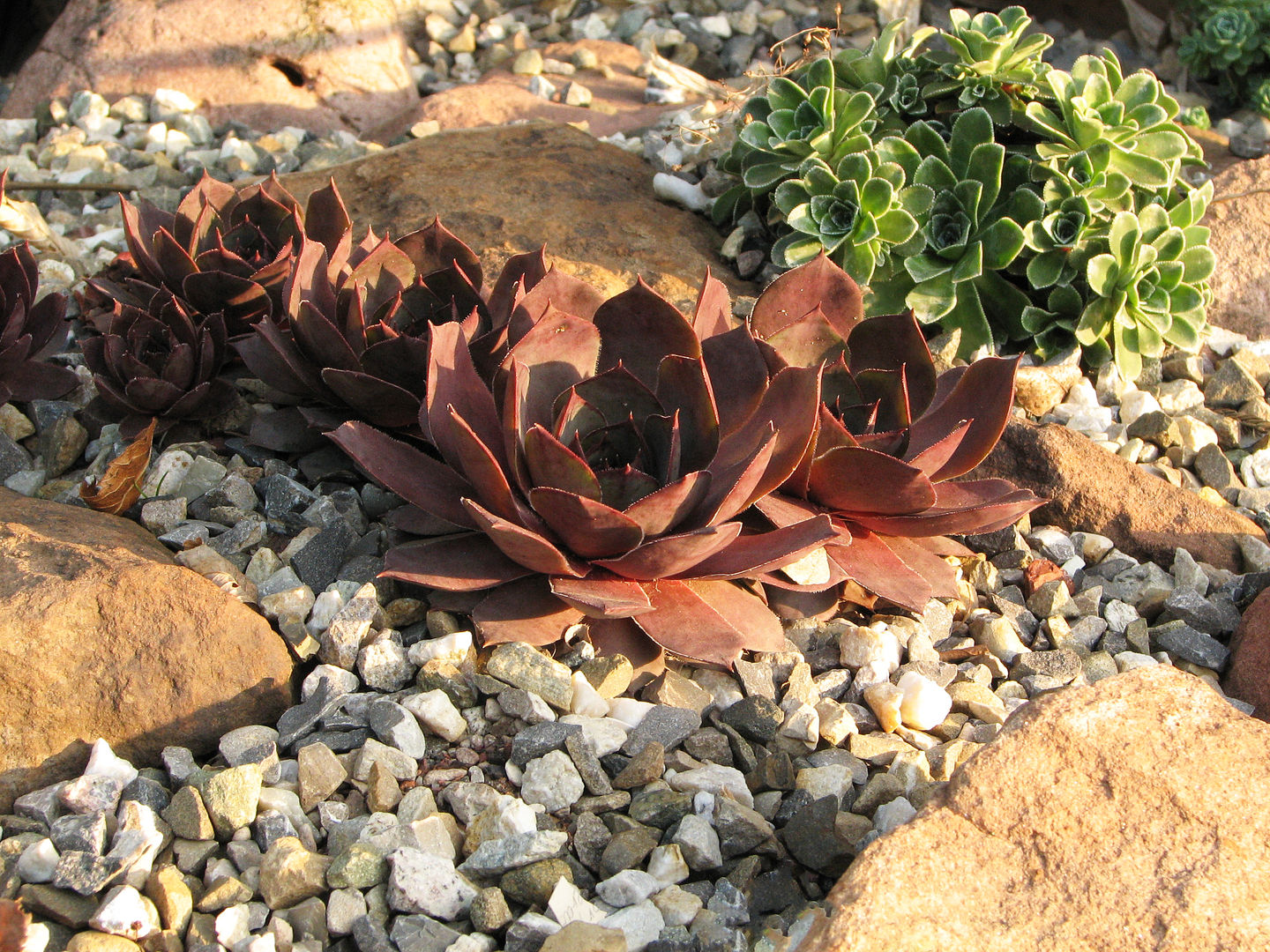 homify Jardin méditerranéen