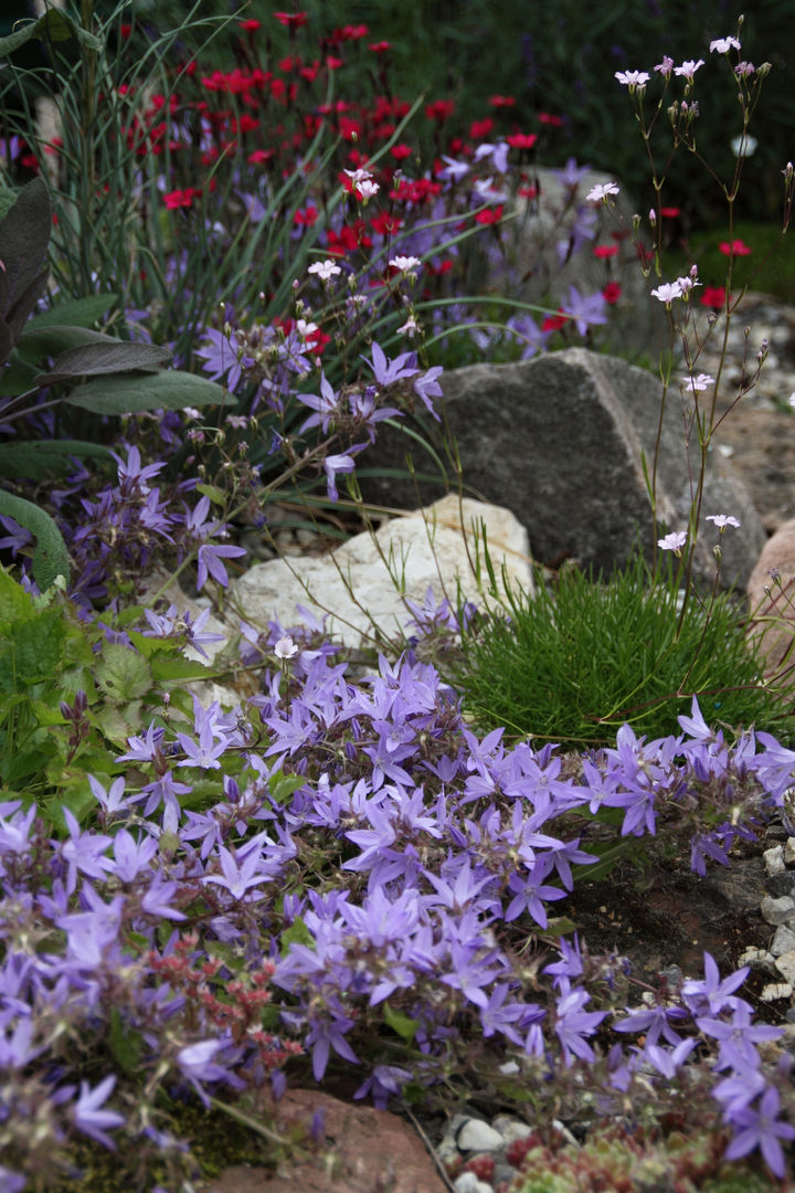 Begleitpflanzen für Kakteen im Steingarten homify Mediterraner Garten