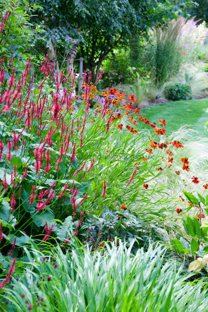 homify Country style garden Plants & flowers