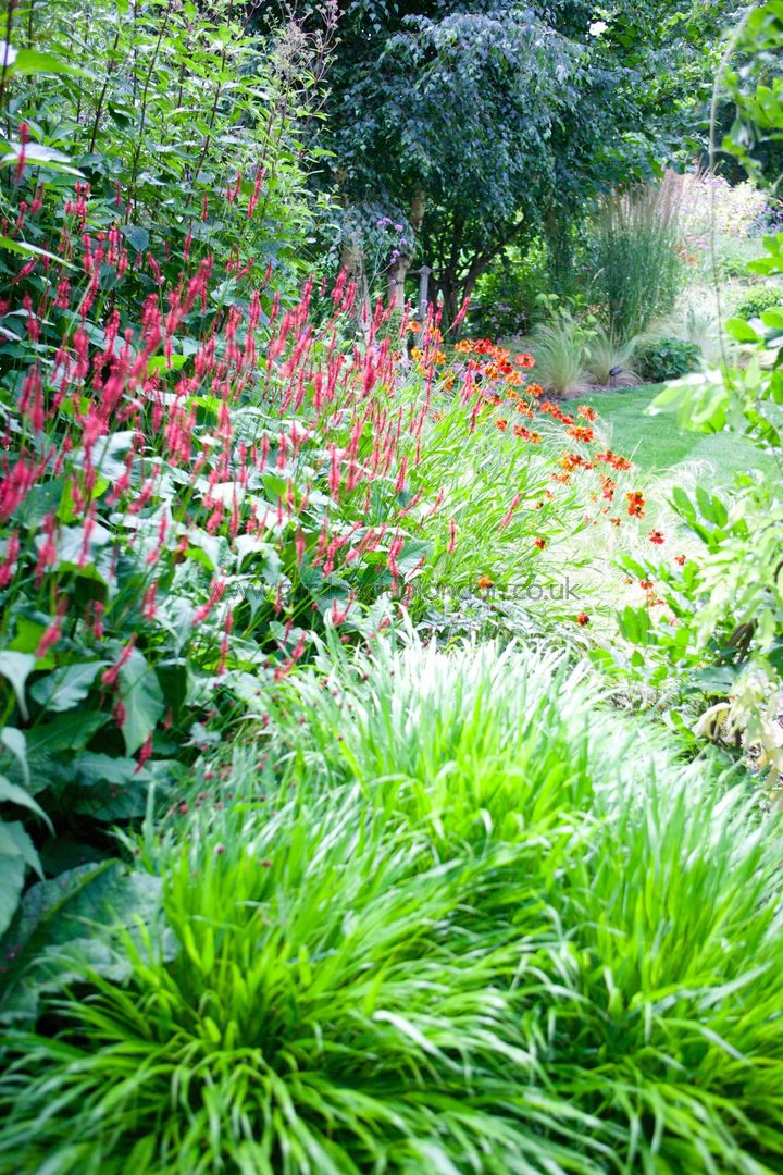 homify Country style gardens Plants & flowers