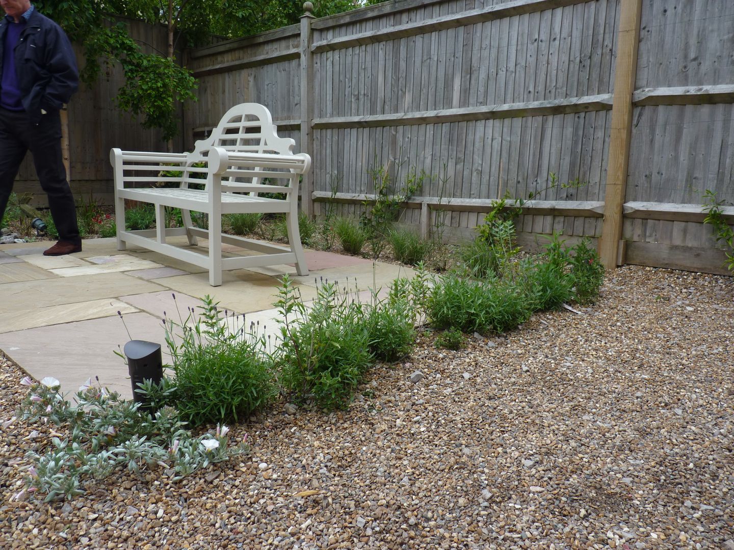 Serene Gravel Garden, Cornus Garden Design Cornus Garden Design Modern garden