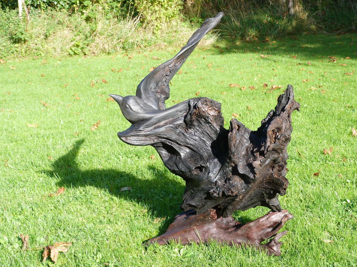 Flight Irish Bog Wood Sculpture Ulteriori spazi Sculture