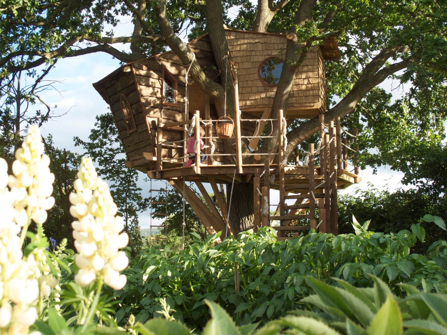 Imaginative Tree House Charm, Squirrel Design Tree Houses Limited Squirrel Design Tree Houses Limited حديقة