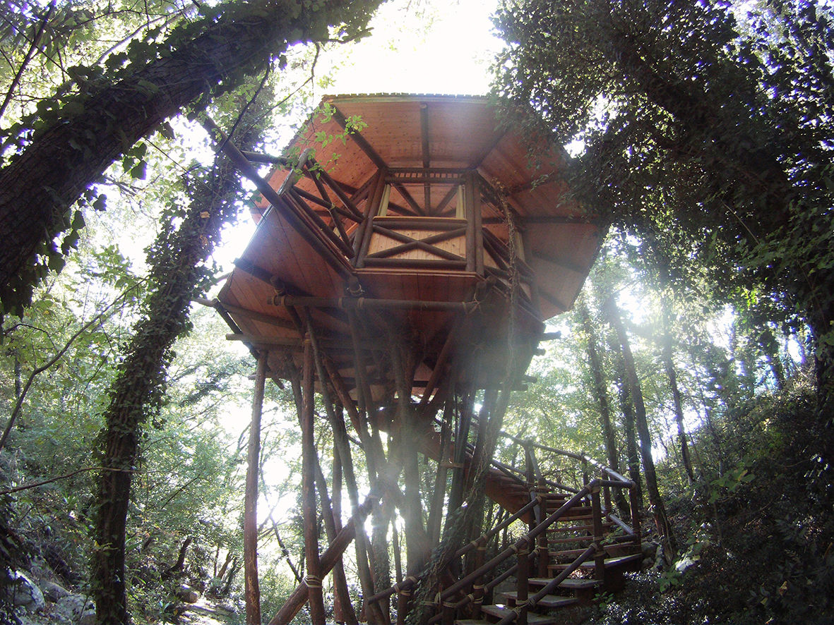 Casa sull'albero, Tree Top Builder Tree Top Builder Houses