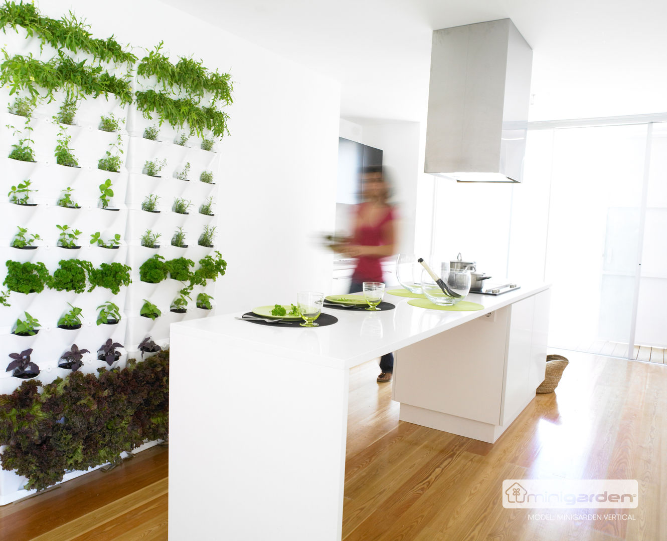 Vertikale Gärten zur Wandbegrünung, Greenbop Greenbop Vườn nội thất Interior landscaping