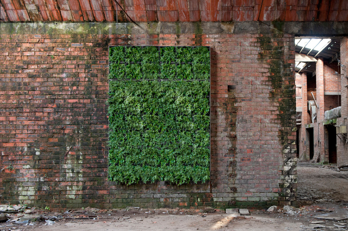 Vertikale Gärten zur Wandbegrünung, Greenbop Greenbop クラシックデザインの テラス アクセサリー＆デコレーション
