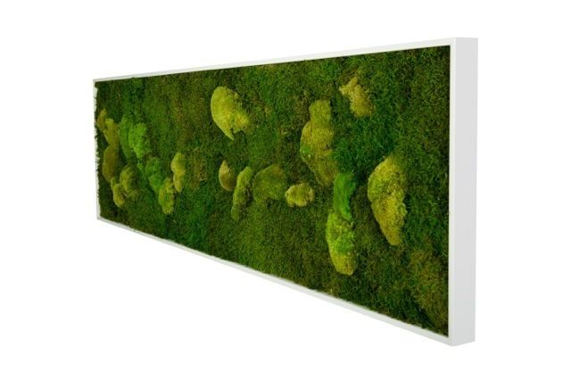 Vertikale Gärten zur Wandbegrünung, Greenbop Greenbop Interior garden Interior landscaping