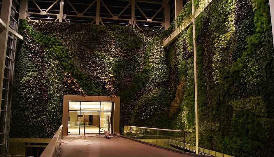 Atasehir Ece Botanik Tuin Planten & bloemen