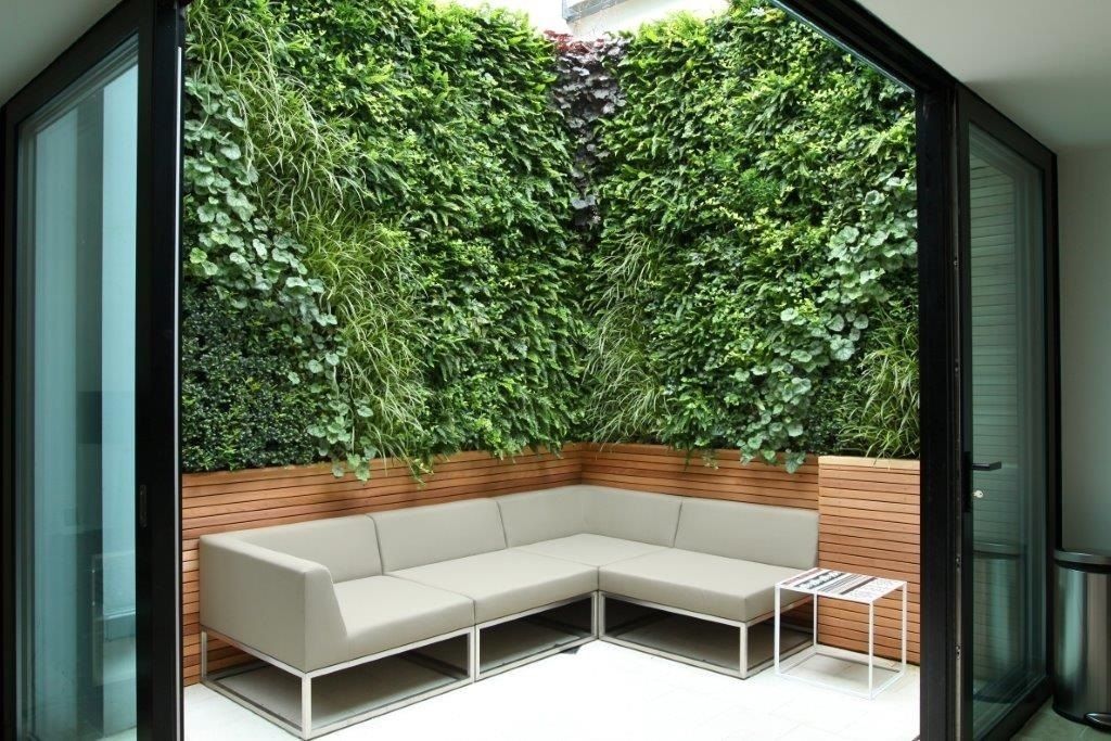 Private Courtyard, London, Living Wall Biotecture Ogród Rośliny i kwiaty