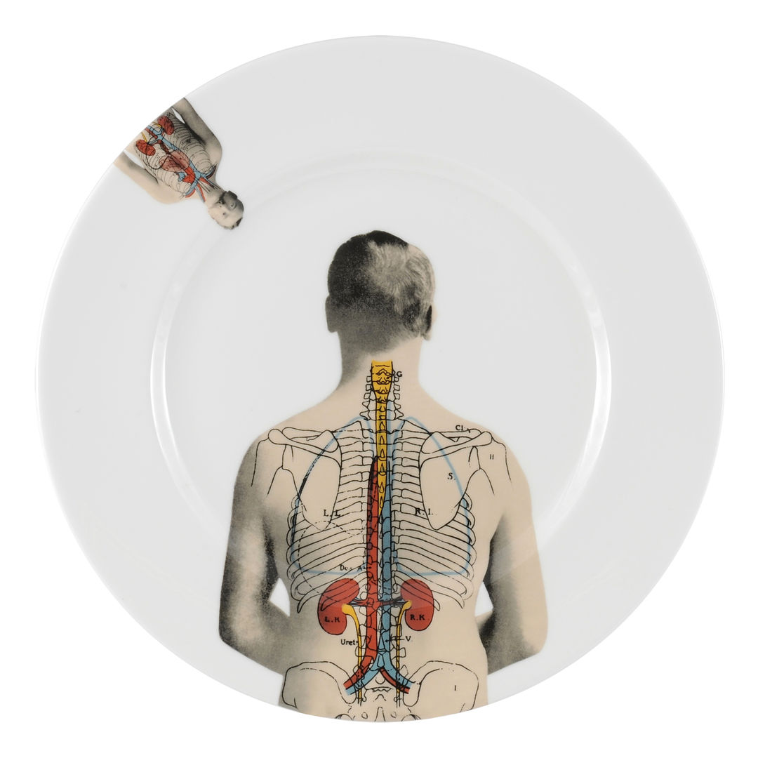 Anatomica, The New English The New English Colonial style kitchen Cutlery, crockery & glassware