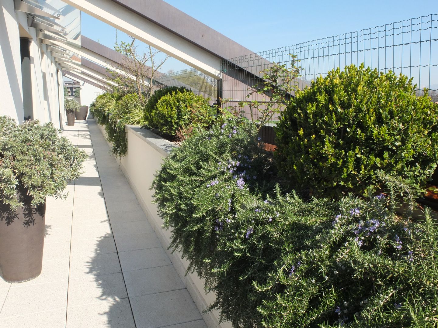 Minimal con brio, Architettura del verde Architettura del verde Modern balcony, veranda & terrace