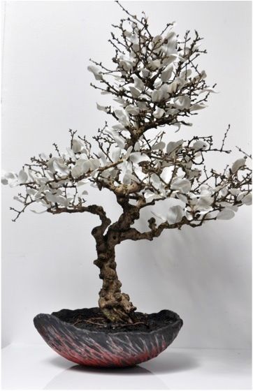The Fairy tree with porcelain petals, bbceramic bbceramic Weitere Zimmer Bilder & Gemälde