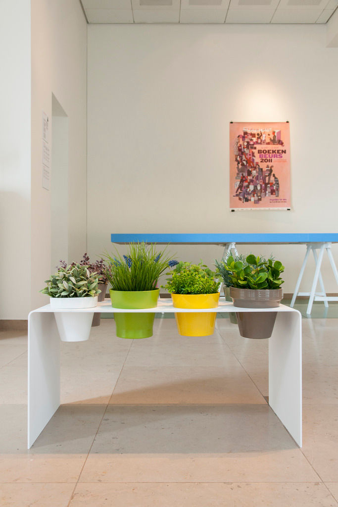 homify Varandas, alpendres e terraços Plantas e flores