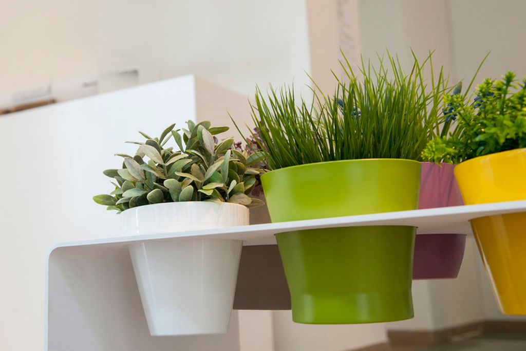 homify Modern living Plants & flowers