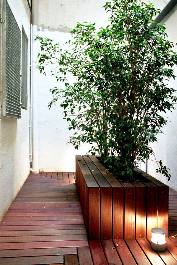 patio habitaciones Miel Arquitectos Jardines de estilo moderno Planta,Ligero,Verde,Madera,Vegetación,Piso,Tinte para madera,Línea,Rectángulo,Piso