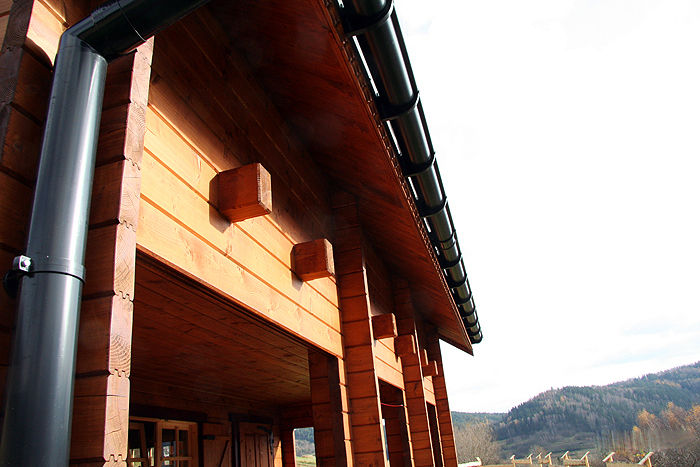 chalet modello lori 19 , CasediLegnoSr CasediLegnoSr Casas de estilo rústico Accesorios y decoración