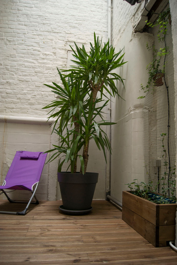 Transformation d’une usine en un loft super glamour, L&D Intérieur L&D Intérieur Jardines de invierno modernos