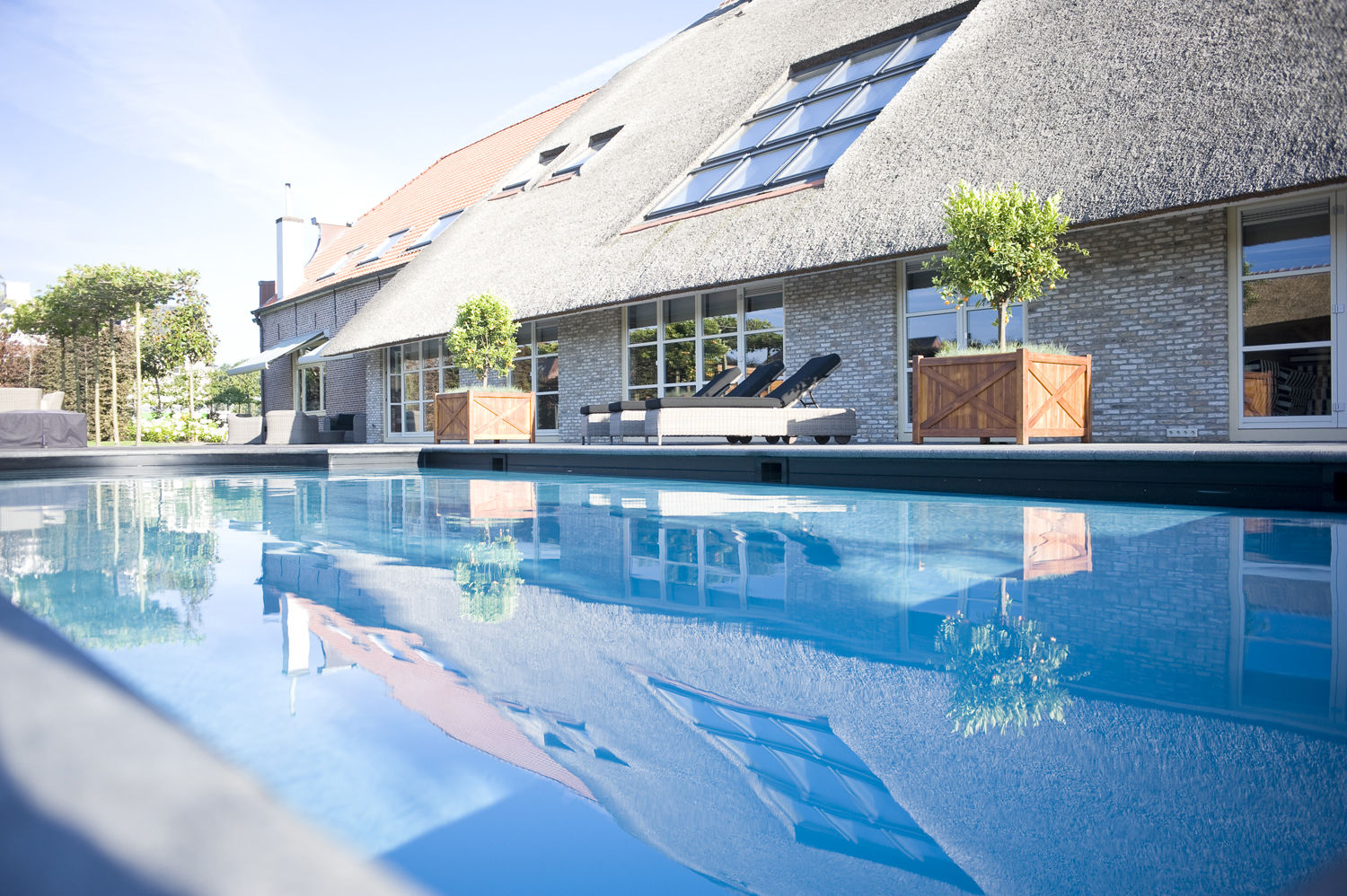 Landschappelijke tuin met Wellness, Stam Hoveniers Stam Hoveniers Rustik Havuz Havuz