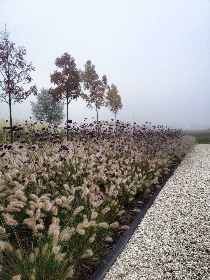 Landschappelijke tuin met Zwemvijver, Stam Hoveniers Stam Hoveniers 庭院 植物與花