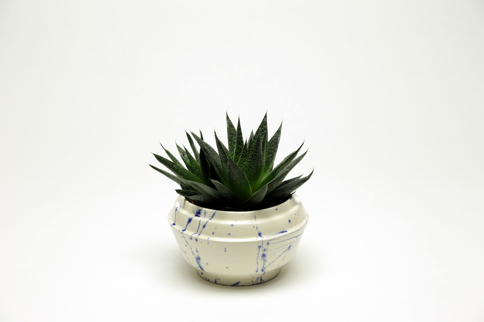 Vases, Ontwerpstudio Inge Simonis Ontwerpstudio Inge Simonis حديقة داخلية Interior landscaping