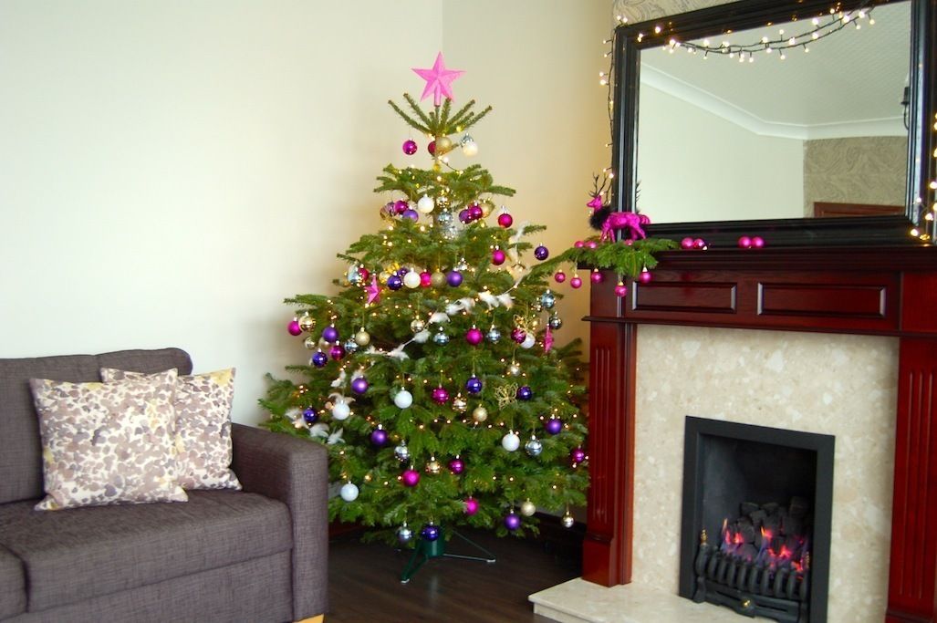 Residential Christmas Styling Bhavin Taylor Design غرفة المعيشة