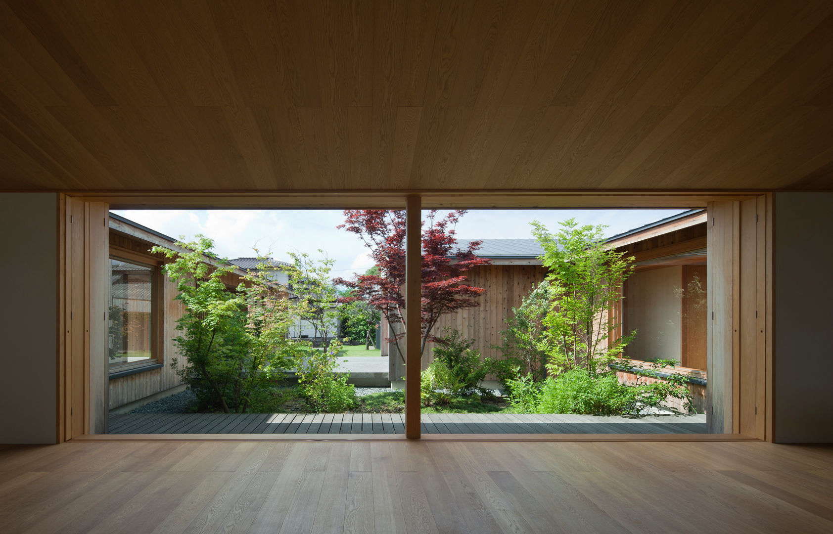 酒井西の家, class class Jardines modernos: Ideas, imágenes y decoración