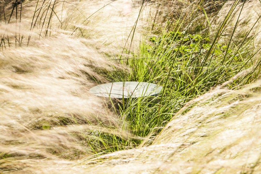 Outdoor speaker weggewerkt in de beplanting Studio REDD exclusieve tuinen Moderne tuinen Verlichting