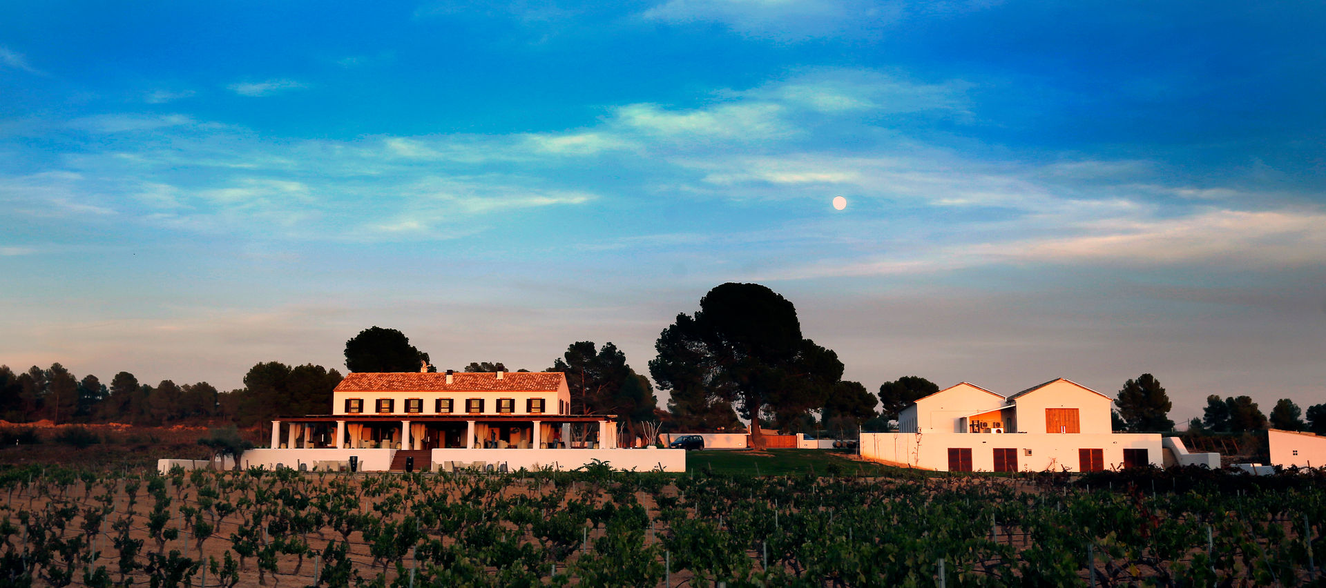 Bodegas Alvarez Nölting. Requena., 3 M ARQUITECTURA 3 M ARQUITECTURA Espaços comerciais Espaços comerciais