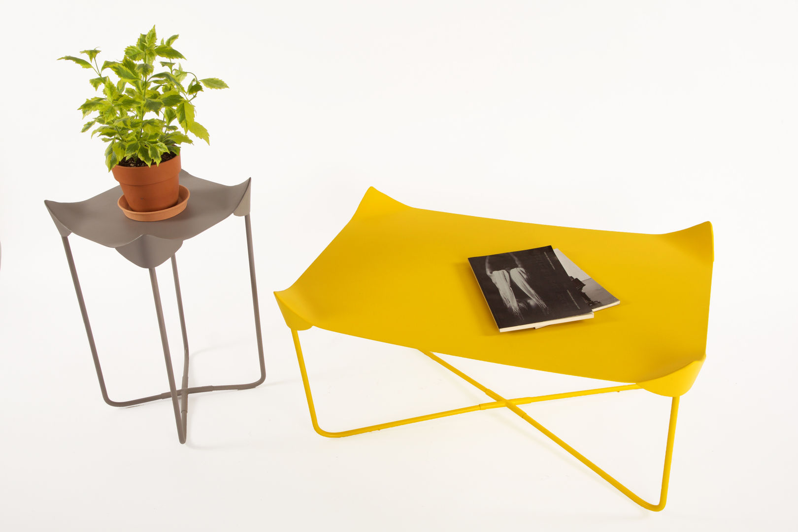 Mantarraya Mesa Alta y de centro homify Salas de estilo minimalista Mesas de centro y auxiliares