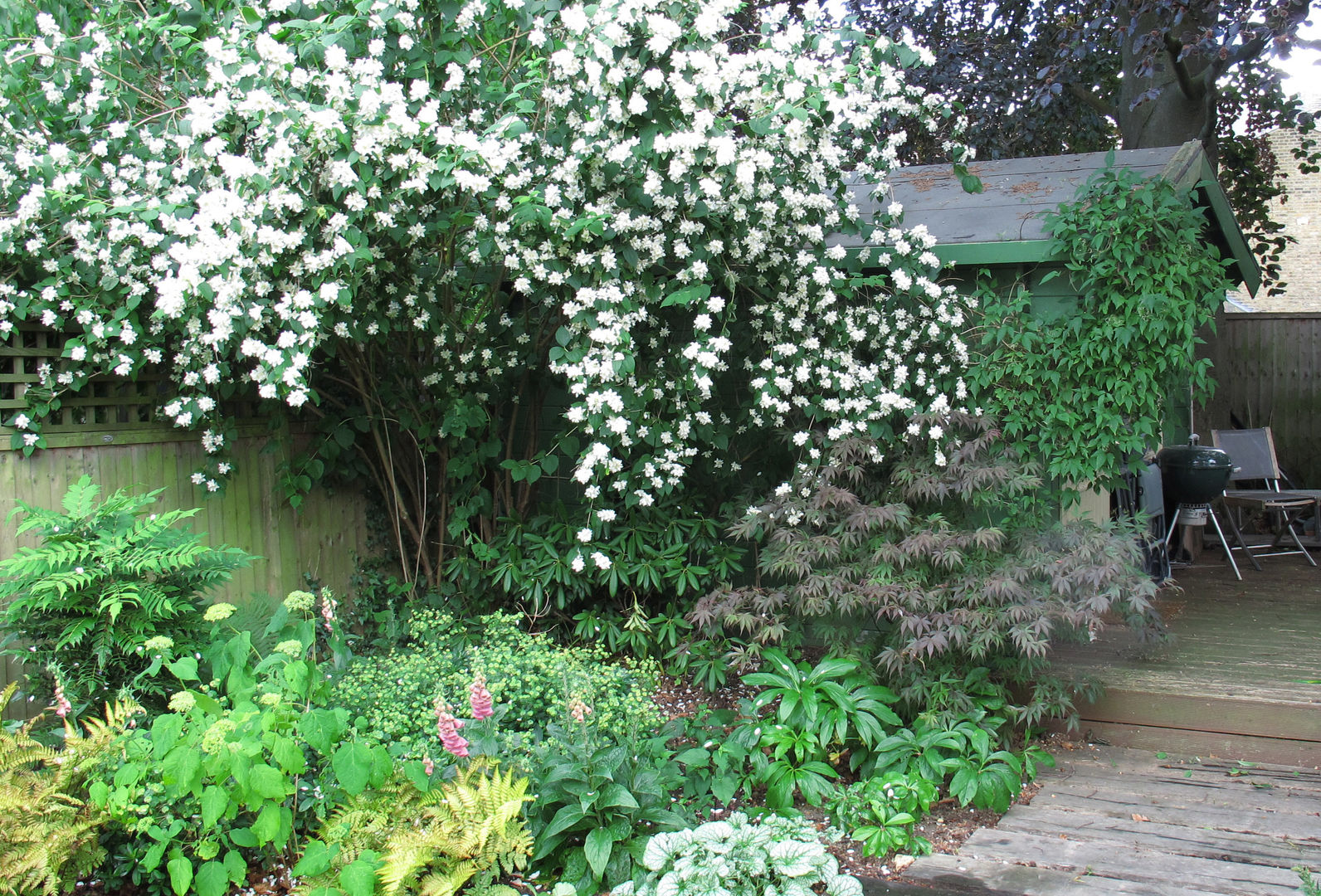 woodland plants Fenton Roberts Garden Design Rustikaler Garten Pflanzen und Blumen