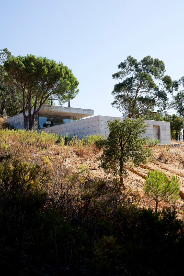 Casa em Pedrogão, Phyd Arquitectura Phyd Arquitectura Будинки