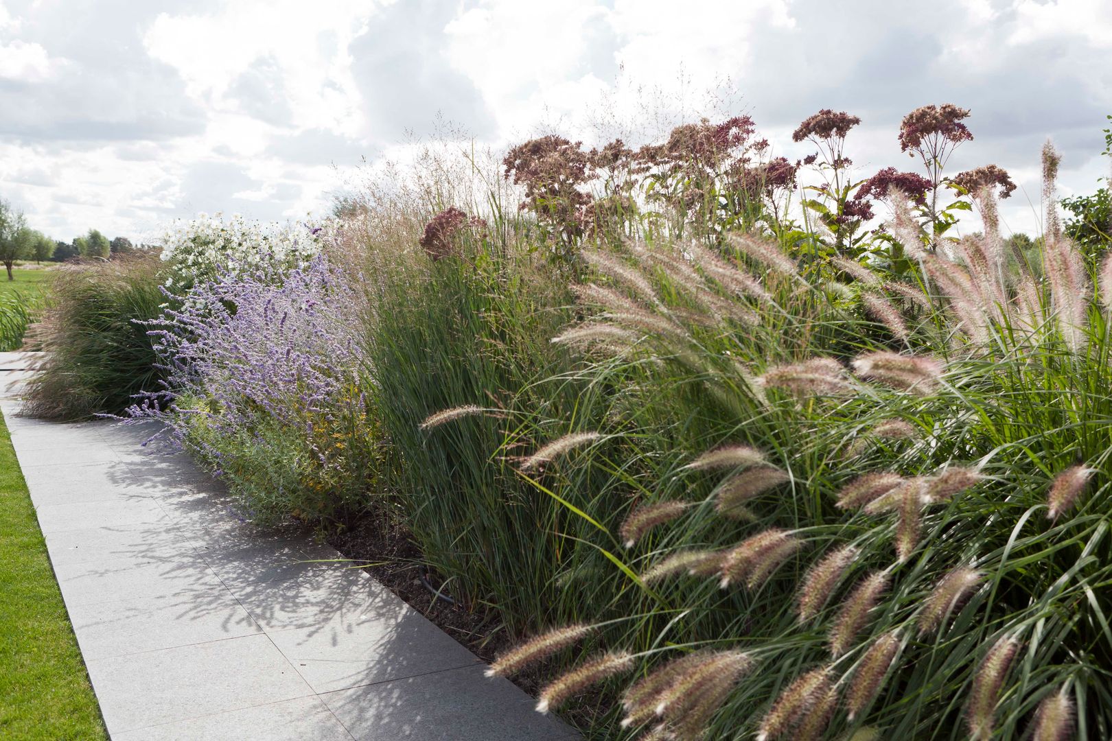 Rijke beplanting die aansluit bij de polder- en weidekarakter Andrew van Egmond (ontwerp van tuin en landschap) Minimalistische tuinen Wolk,Plant,Lucht,Water,Plantengemeenschap,Bloem,Boom,Natuurlijk landschap,terrestrische plant,Gras