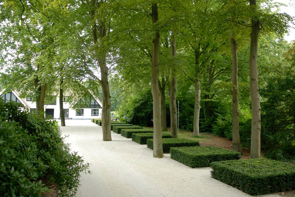 Villa garden The Netherlands, Andrew van Egmond (ontwerp van tuin en landschap) Andrew van Egmond (ontwerp van tuin en landschap) Jardines de estilo minimalista