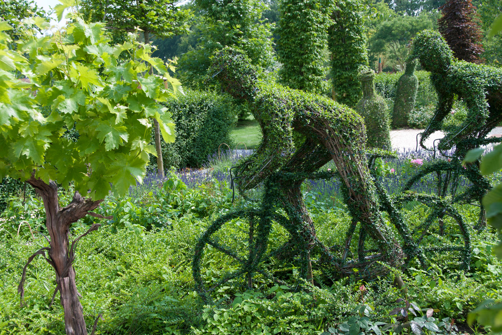 Sommergarten, Pflanzenfreude.de Pflanzenfreude.de Сад Рослини та квіти