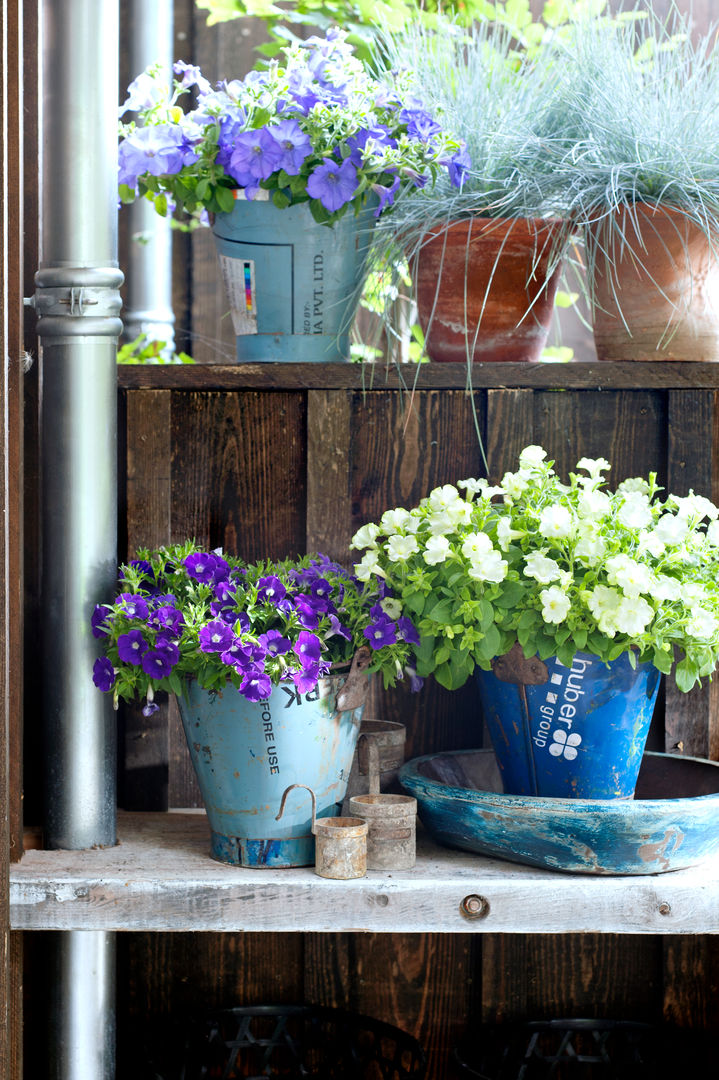 Sommergarten, Pflanzenfreude.de Pflanzenfreude.de Rustieke tuinen Planten & bloemen