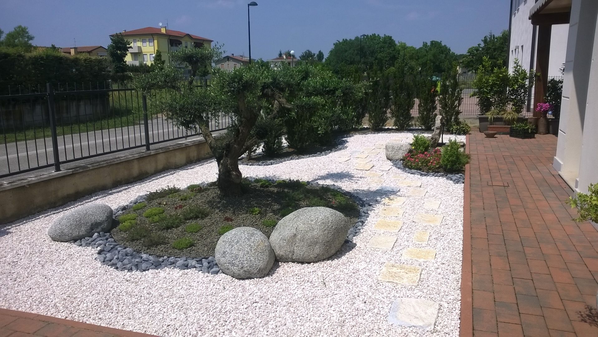 Insieme Dei Fiori Decorativi Del Giardino Isolati Su Bianco