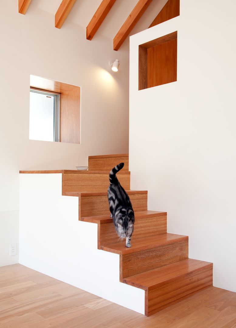 猫と暮らす家, Unico design一級建築士事務所 Unico design一級建築士事務所 Salas de estar modernas