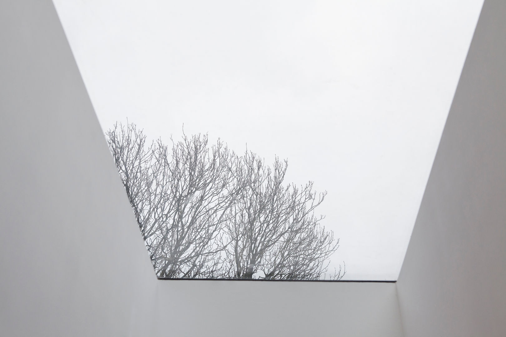 Lysia Street, S&Y Architects S&Y Architects Minimalistyczny ogród zimowy