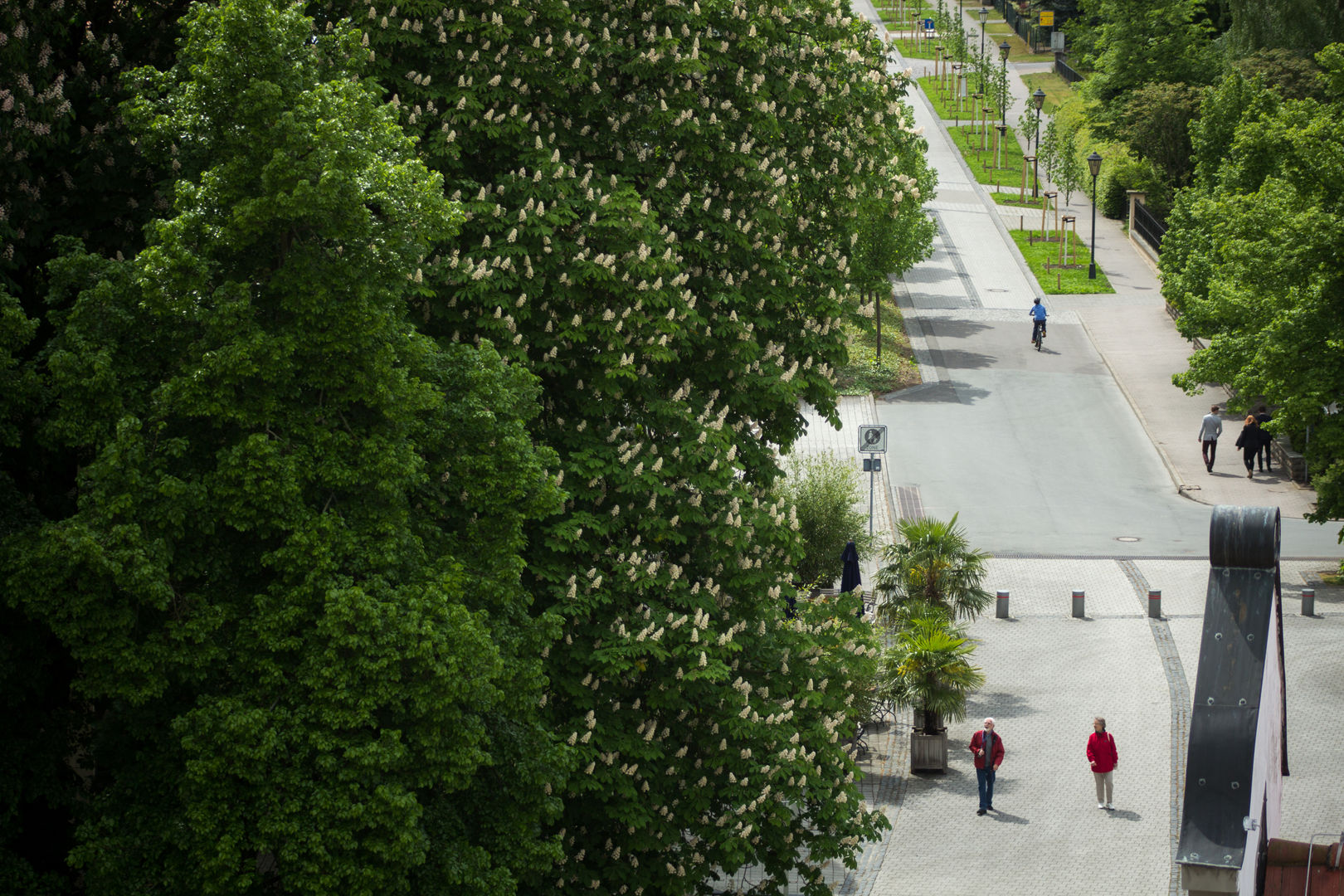 Kurpark Bad Schmiedeberg , GFSL clausen landschaftsarchitekten gruen fuer stadt + leben GFSL clausen landschaftsarchitekten gruen fuer stadt + leben พื้นที่เชิงพาณิชย์ โรงพยาบาล