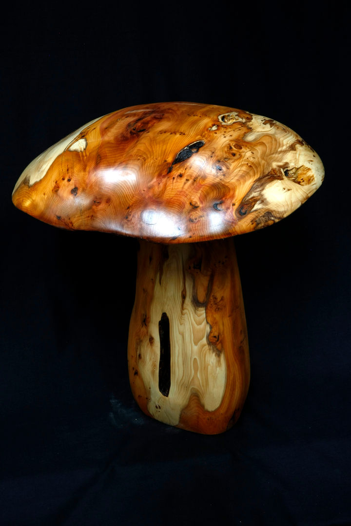 Mushroom Table Acorn Furniture Salas de estilo ecléctico Mesas de centro y auxiliares