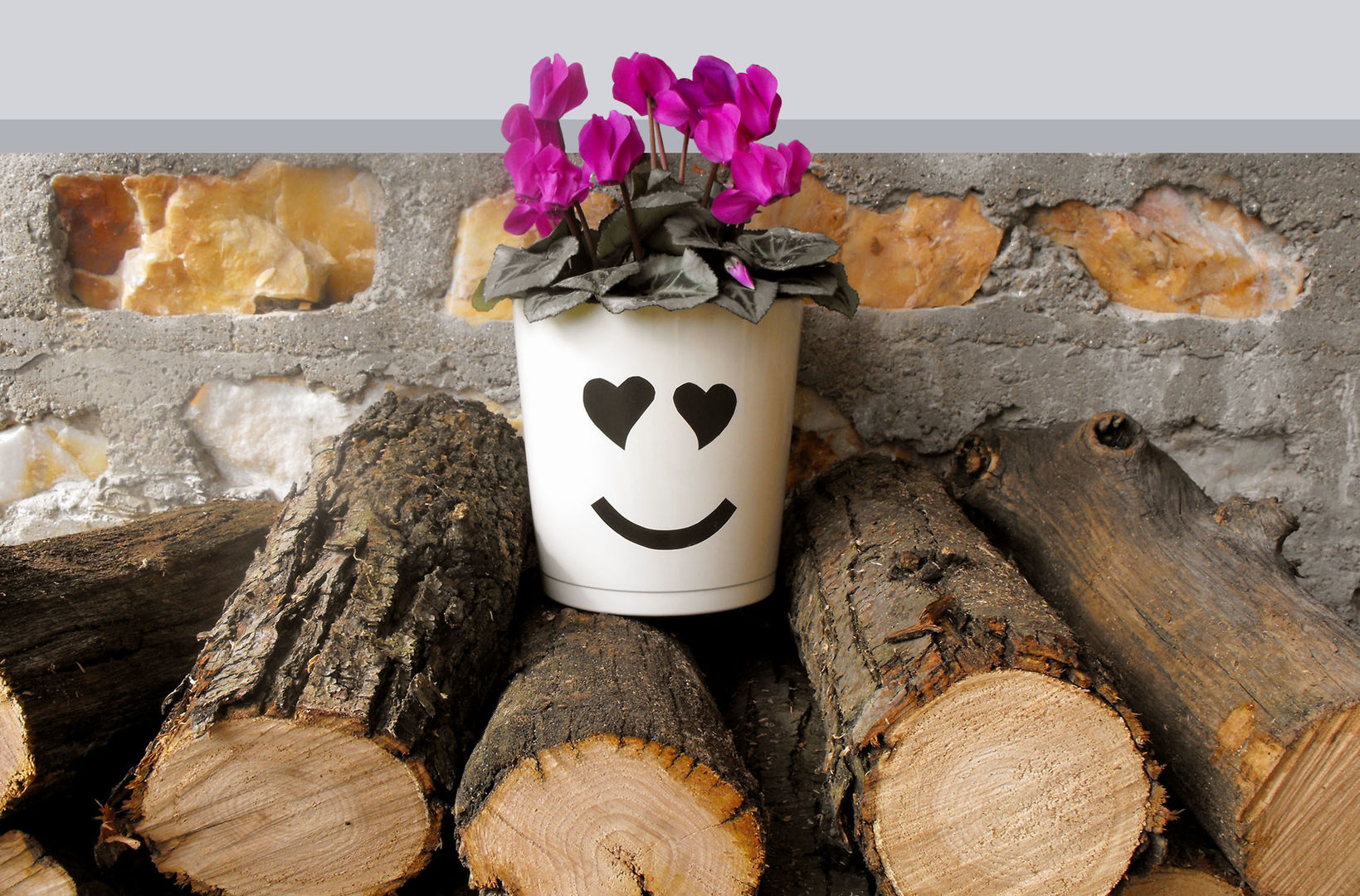 Design di carattere, RECOVER® RECOVER® Eclectische tuinen Planten & accessoires