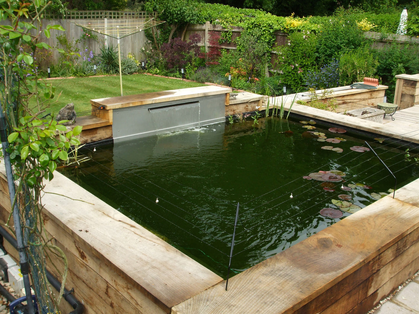 Oak pond in St georges hill Weybridge, Aquajoy water gardens ltd Aquajoy water gardens ltd