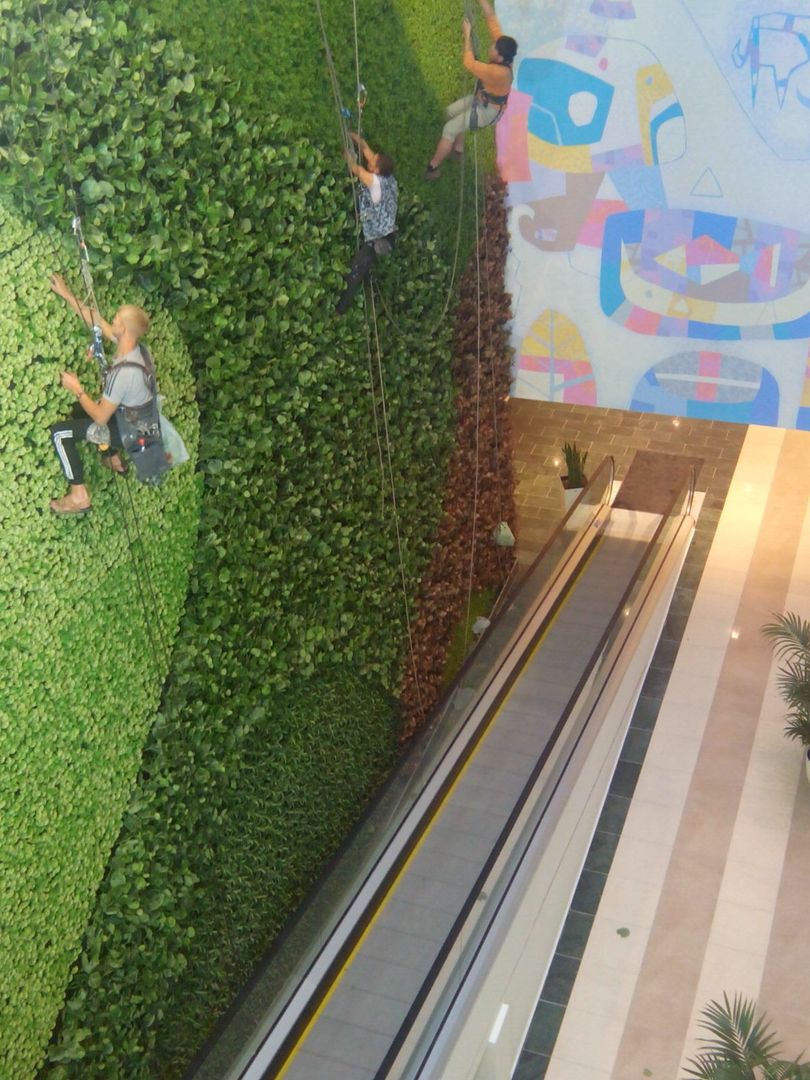 greenwall 23 meters mb architects Commercial spaces Shopping Centres