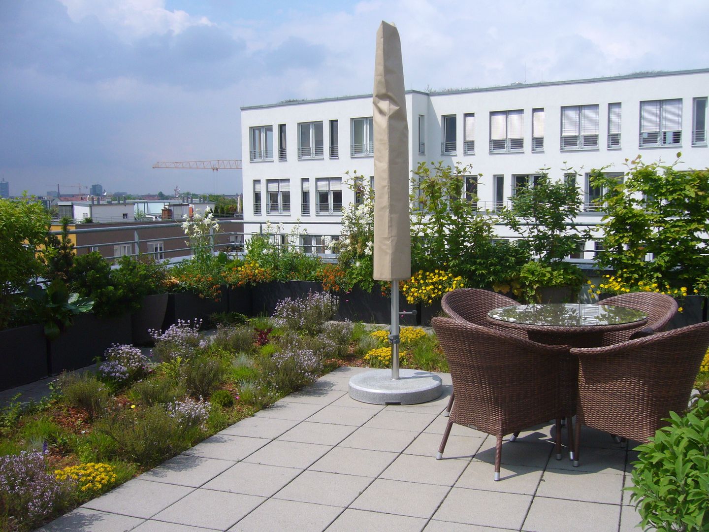 Dachterrassengestaltung München-Schwabing, Blumen & Gärten Blumen & Gärten Modern balcony, veranda & terrace