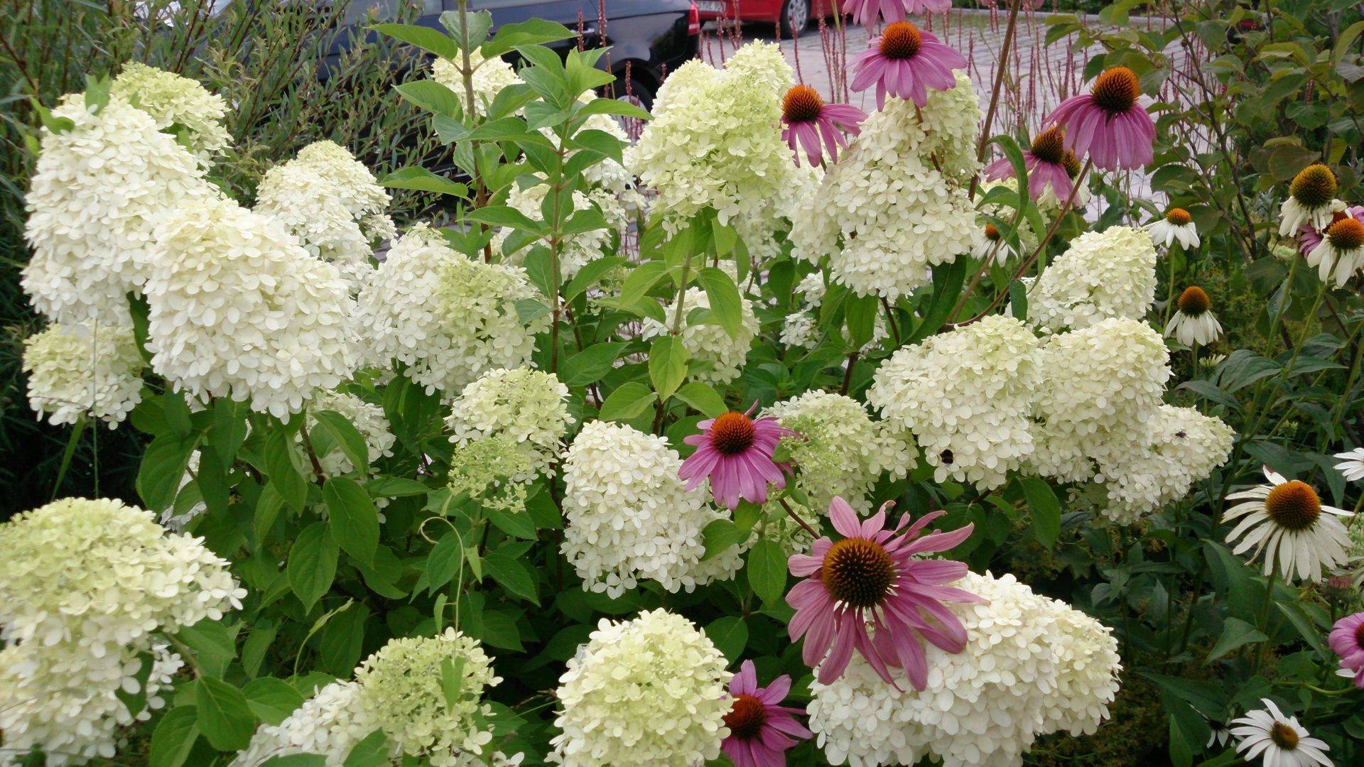 Pflanzplanung Hotelzufahrt Chiemsee, Blumen & Gärten Blumen & Gärten モダンな庭